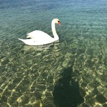 Ora Apartamento Manerba del Garda
